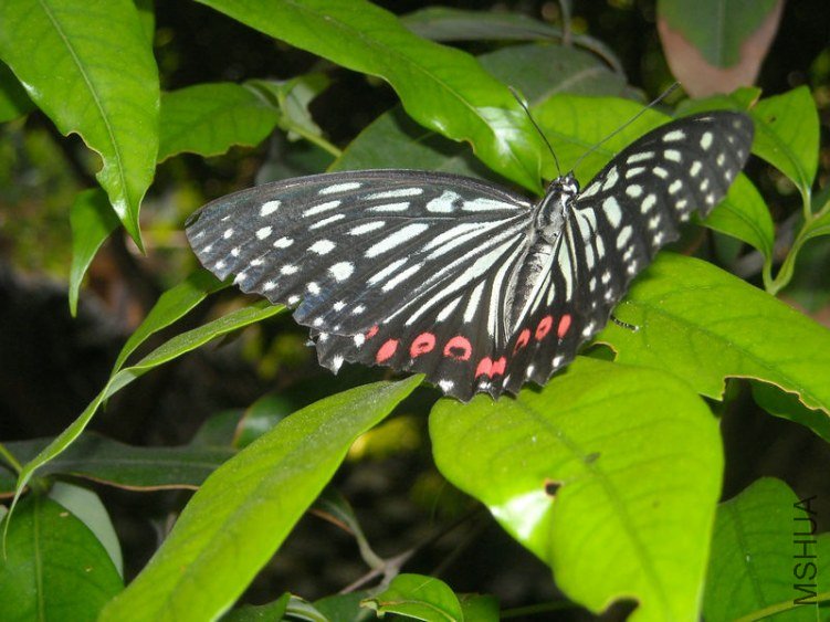 ��Ƭ 018.jpg