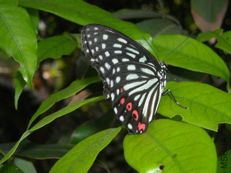 ��Ƭ 019.jpg