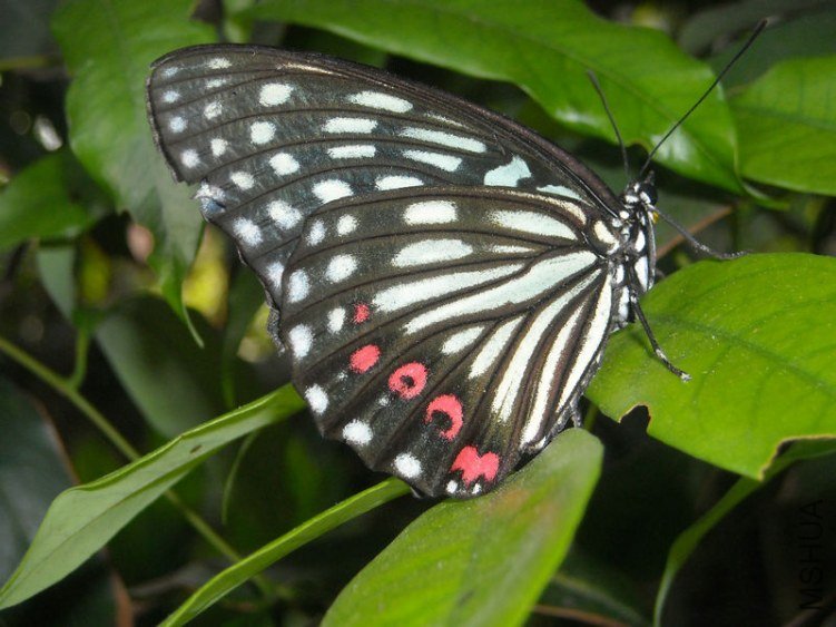 ��Ƭ 020.jpg
