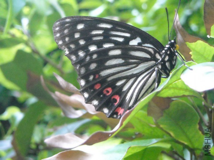 ��Ƭ 024.jpg