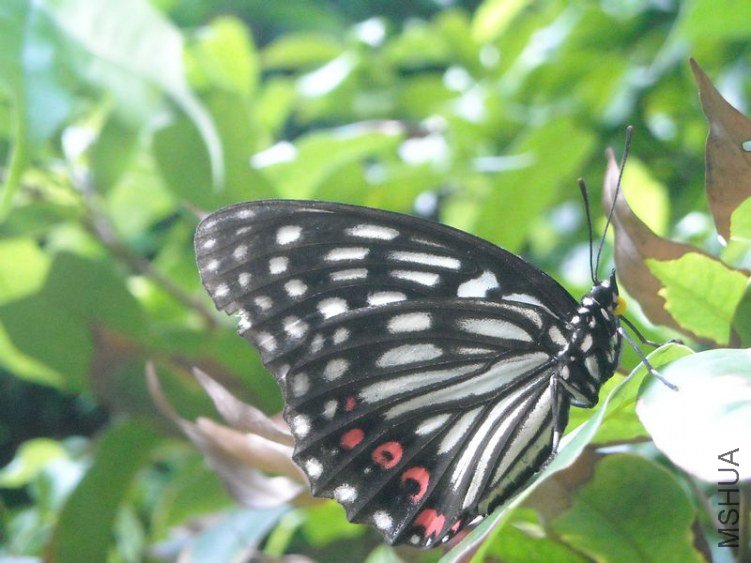 ��Ƭ 025.jpg