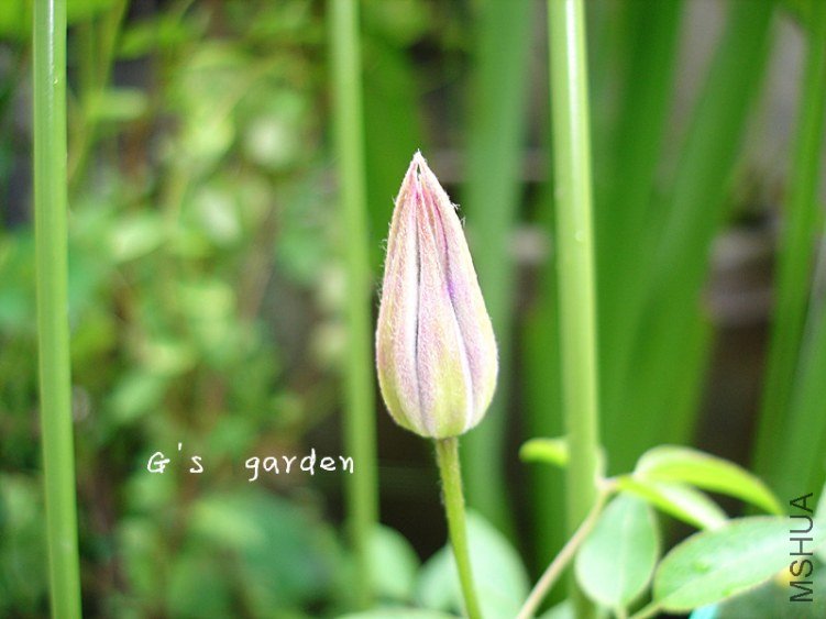 �� ����.jpg