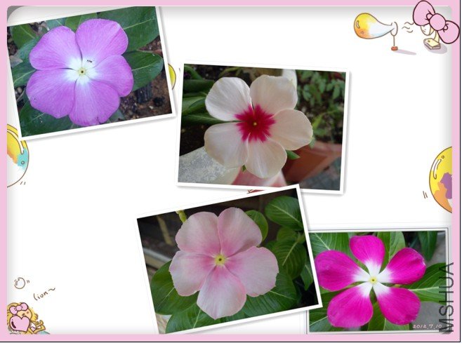 QQ��ͼ20120712230656.jpg