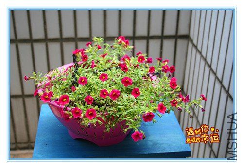 ��Ƭ 118_������.jpg