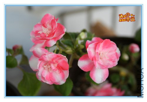 ��Ƭ 151_������.jpg