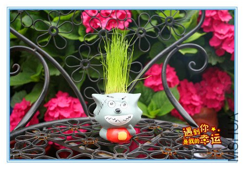 ��Ƭ 125_����С.jpg