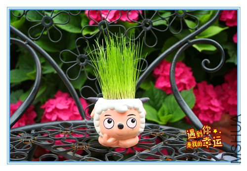 ��Ƭ 127_����С.jpg