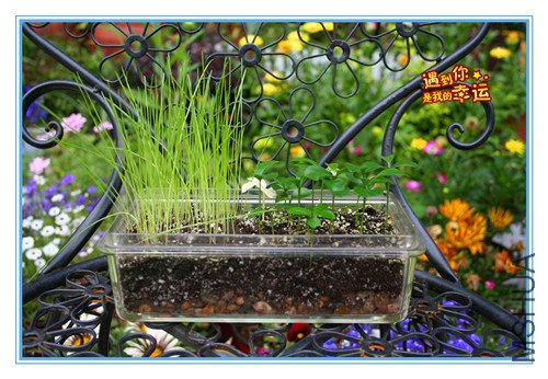 ��Ƭ 130_����С.jpg