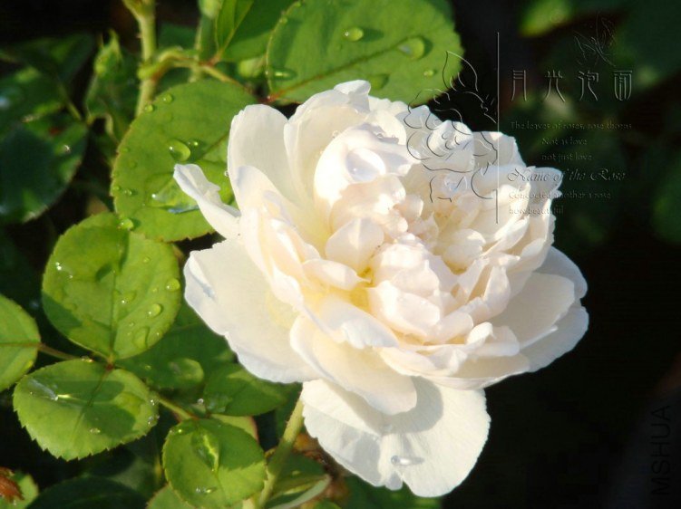 QQ��ͼ20120713093123_1.jpg