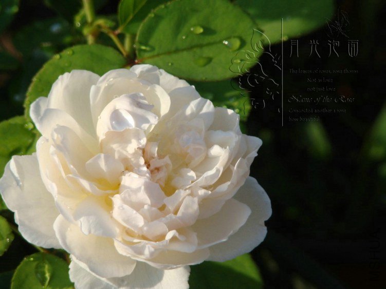 QQ��ͼ20120713093135_1.jpg