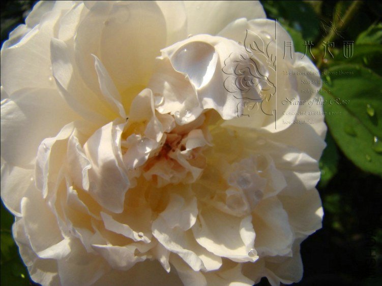 QQ��ͼ20120713093627_1.jpg