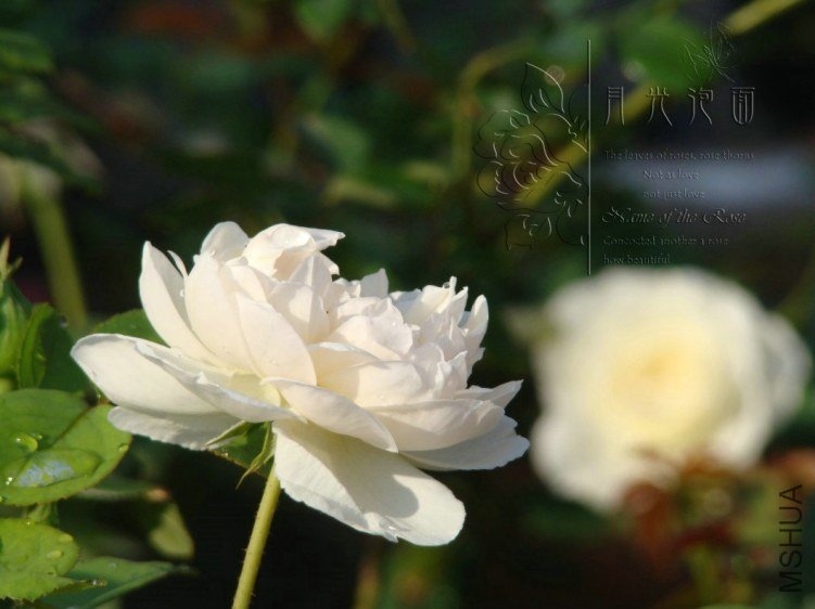 QQ��ͼ20120713093730_1.jpg