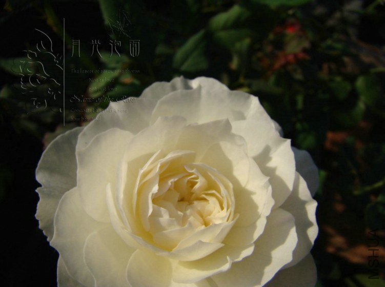 QQ��ͼ20120713092918.jpg