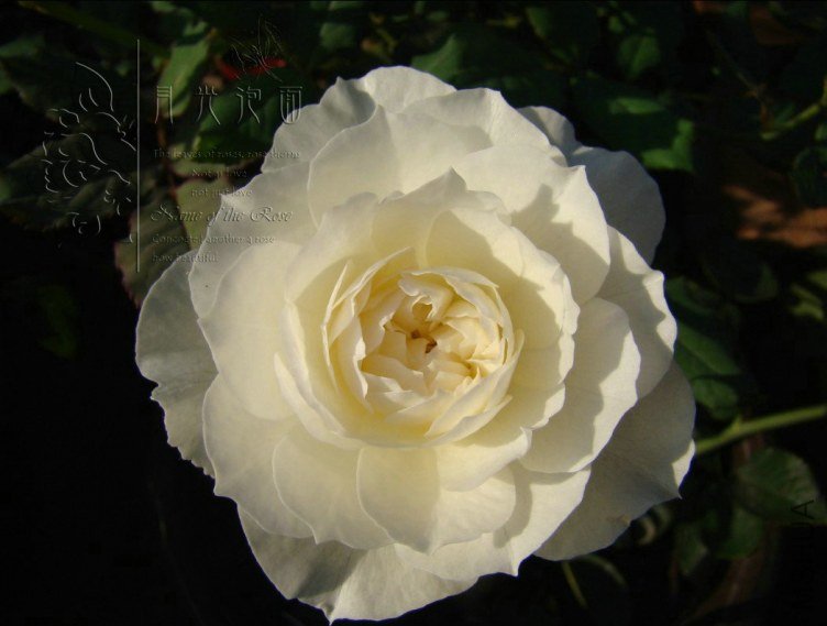 QQ��ͼ20120713092927.jpg