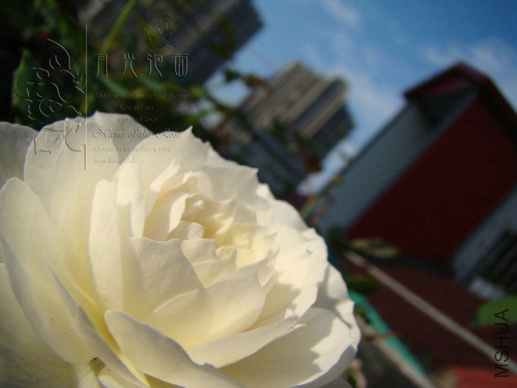 QQ��ͼ20120713092936.jpg