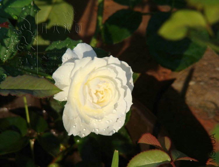QQ��ͼ20120713093107.jpg