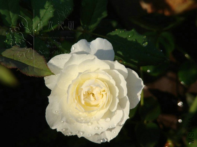 QQ��ͼ20120713093151.jpg