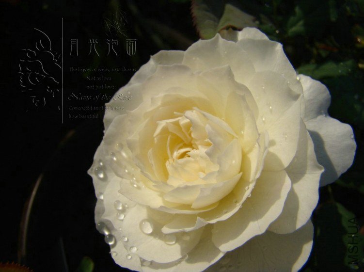 QQ��ͼ20120713093357.jpg