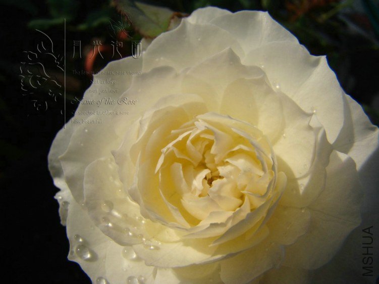 QQ��ͼ20120713093410.jpg