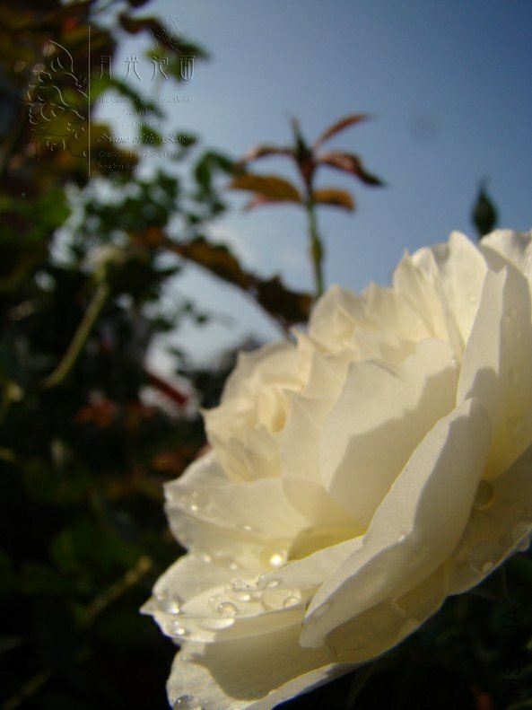 QQ��ͼ20120713093436.jpg