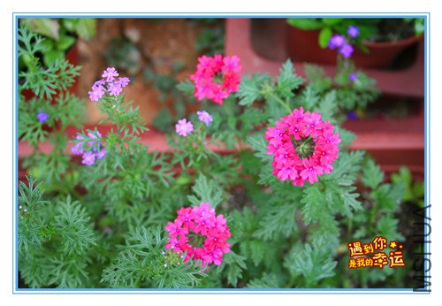 ��Ƭ 005_����.jpg