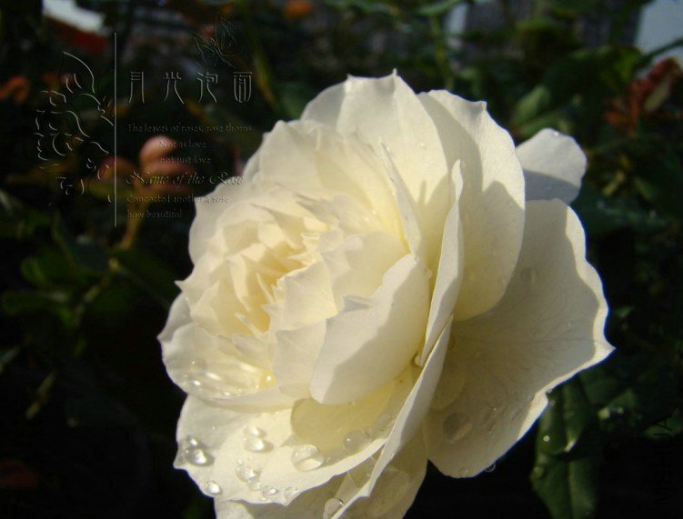 QQ��ͼ20120713093453.jpg