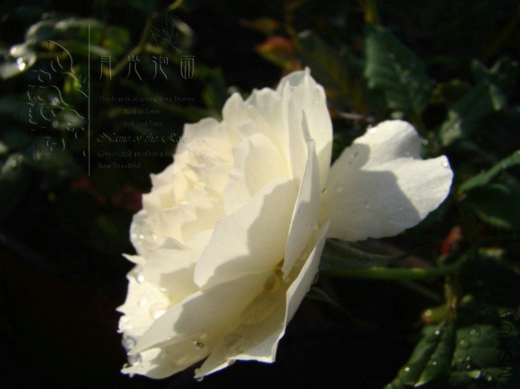 QQ��ͼ20120713093502.jpg