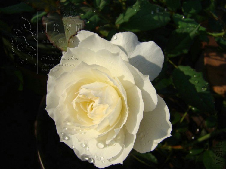 QQ��ͼ20120713093517.jpg
