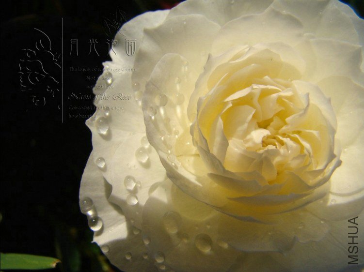 QQ��ͼ20120713093614.jpg