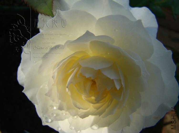 QQ��ͼ20120713093747.jpg