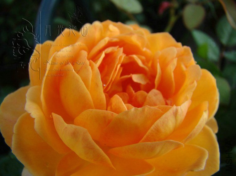 QQ��ͼ20120713094227_1.jpg
