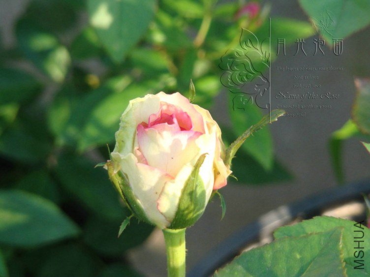 QQ��ͼ20120713093013.jpg