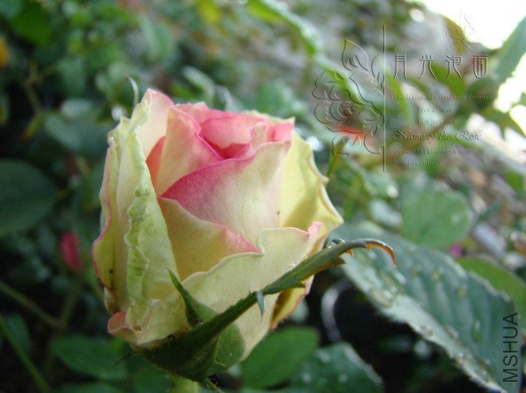 QQ��ͼ20120713094425.jpg