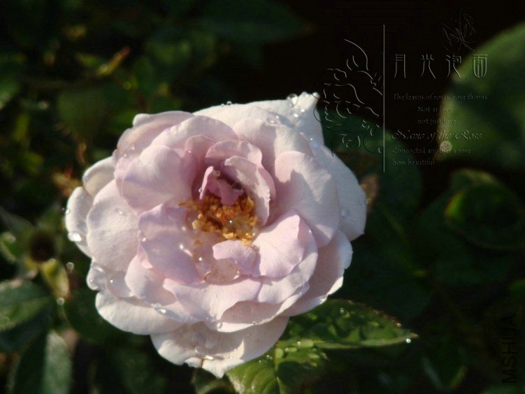 QQ��ͼ20120713093143.jpg