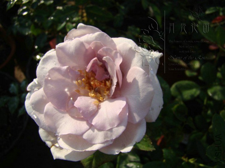 QQ��ͼ20120713093348.jpg