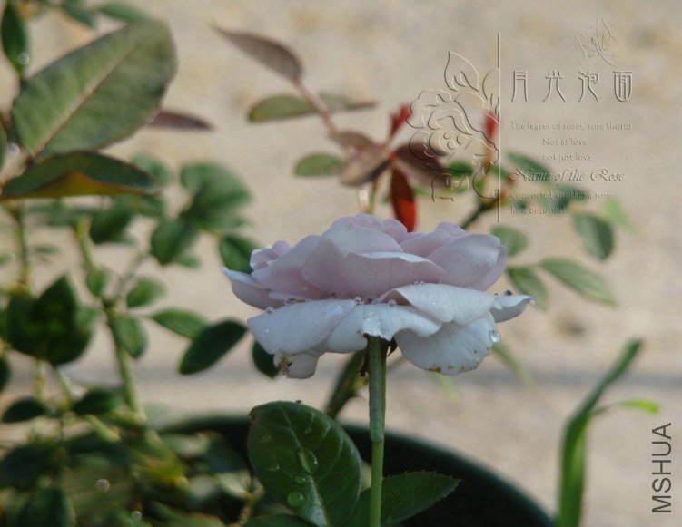 QQ��ͼ20120713094559.jpg