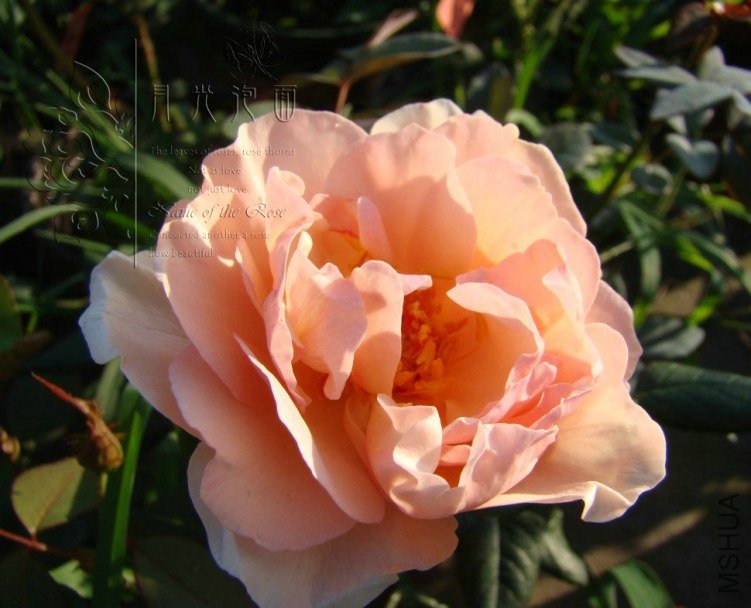 QQ��ͼ20120713092807.jpg