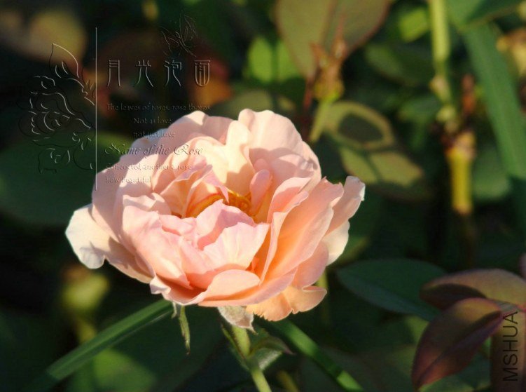 QQ��ͼ20120713093002.jpg