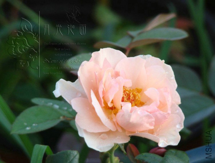 QQ��ͼ20120713094611.jpg