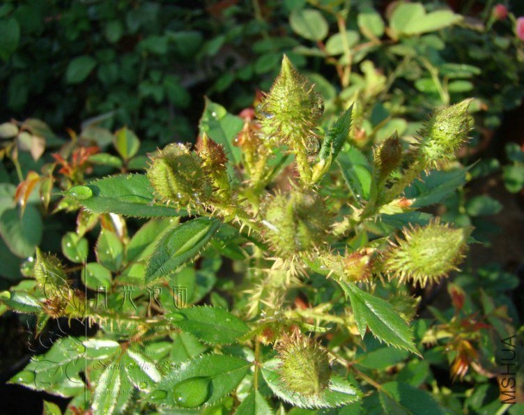 QQ��ͼ20120713093812.jpg