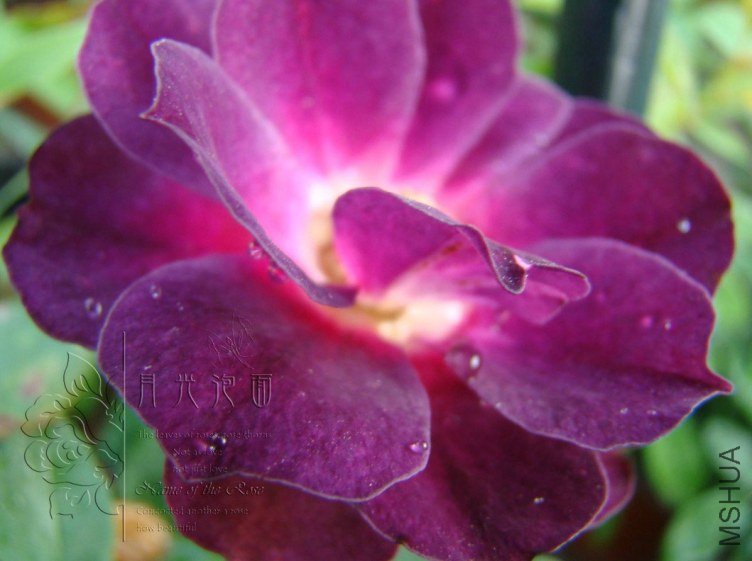 QQ��ͼ20120713094246.jpg