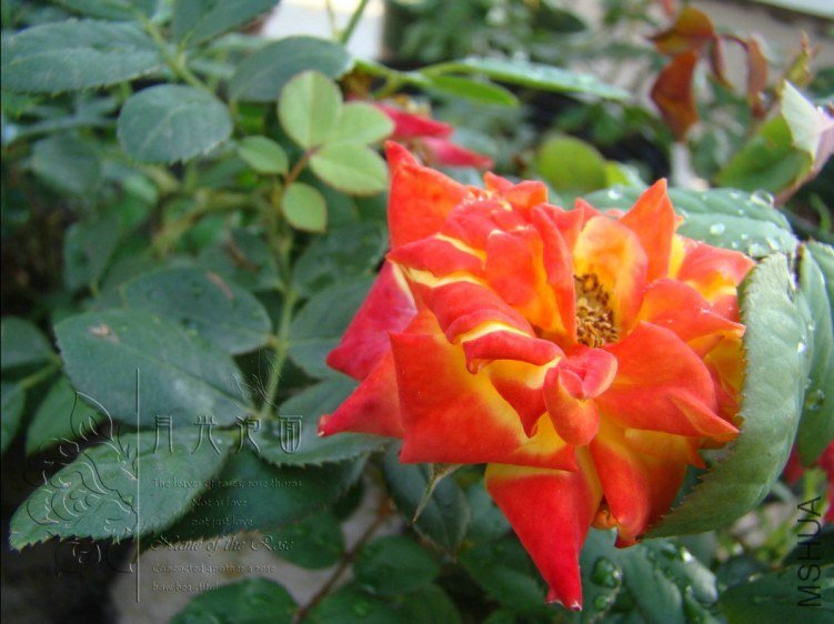 QQ��ͼ20120713094433.jpg