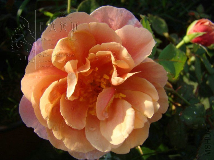 QQ��ͼ20120713093211.jpg