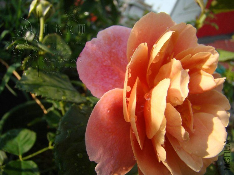 QQ��ͼ20120713093232.jpg