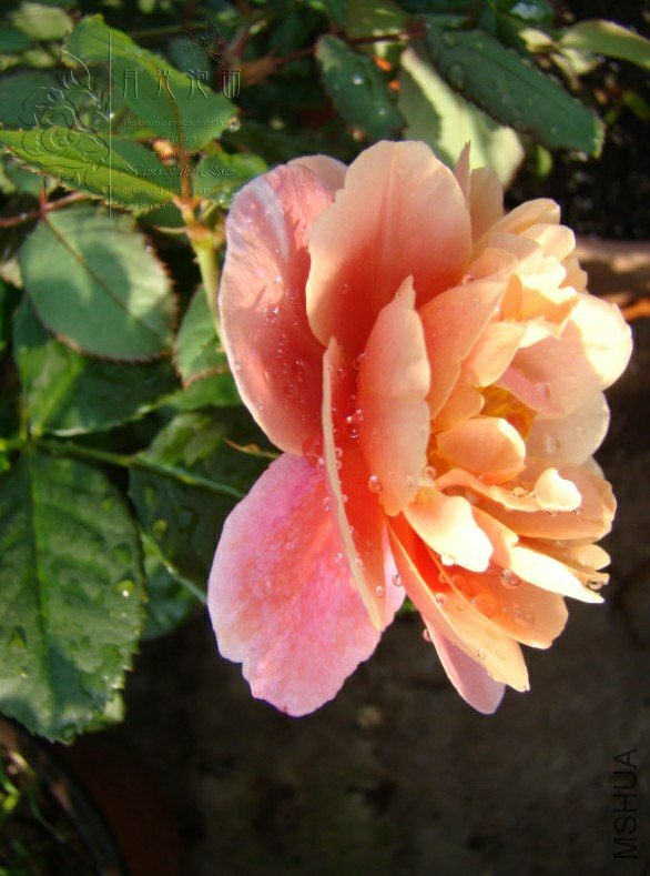 QQ��ͼ20120713093247.jpg