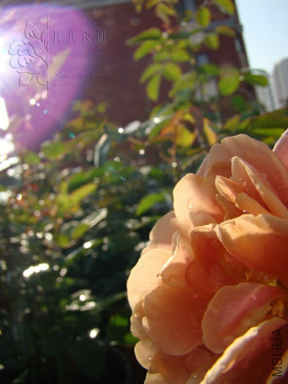 QQ��ͼ20120713093303.jpg