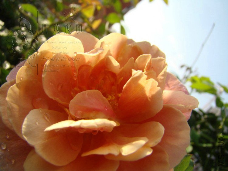 QQ��ͼ20120713093325.jpg