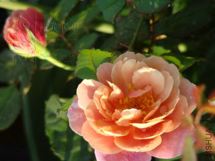QQ��ͼ20120713093641.jpg