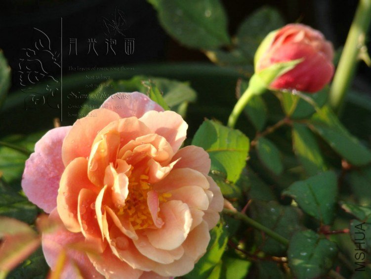 QQ��ͼ20120713093650.jpg