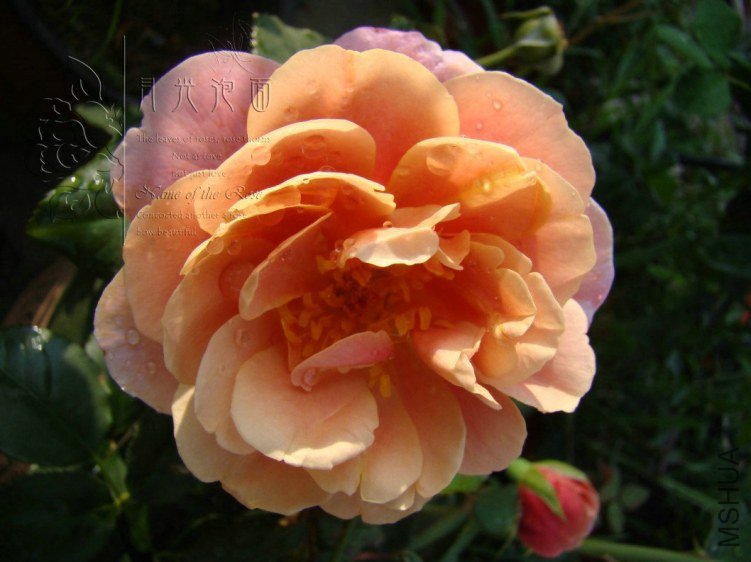 QQ��ͼ20120713093758.jpg